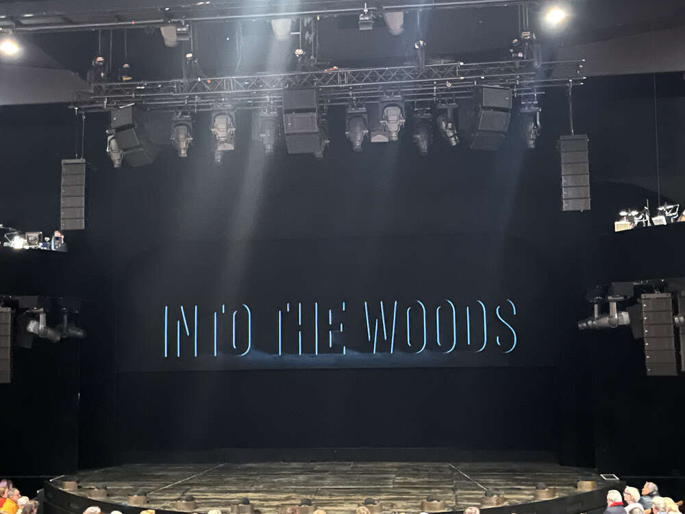 Into the Woods at the Bridge Theatre